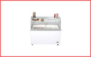 Chefs Exclusive Commercial 8 Flavor Frost Free Ice Cream Dipping Cabinet Case Sub Zero Freezer Review