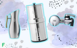 Best Stainless Steel Water Filter Reviews