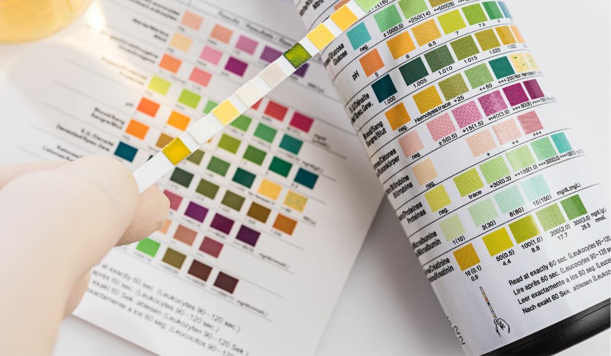 How To Test For Water Hardness? Freshnss