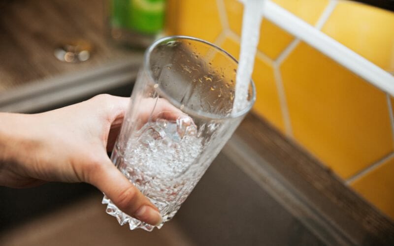 Nitrates In Water (Everything You Need To Know) Freshnss