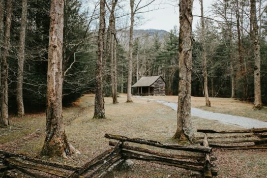 Log cabin in forest — well water testing for vacation homes