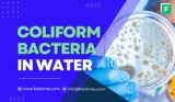 Coliform Bacteria In Well Water (What You Need To Know)