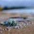 Does Reverse Osmosis Remove Arsenic From Water?