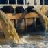 How To Remineralize Reverse Osmosis Water?