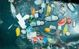 Microplastics In Drinking Water (Everything You Need To Know)