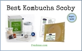 Best Kombucha Scoby (2022 Buyers Guide)